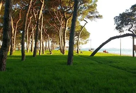 Hébergement de vacances Ampia Casa A Due Passi Dalla Biennale Venise