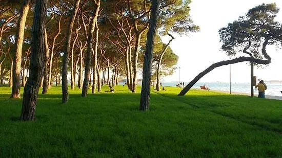 Casa vacanze Ampia Casa A Due Passi Dalla Biennale Venezia